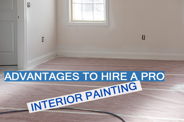 Castle Complements Painting Interior Painting Hire a Pro_IMGb_9100